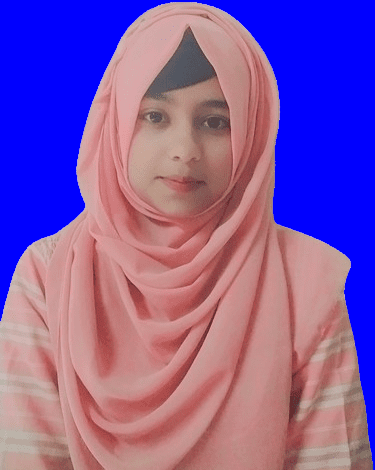 wordpress developer